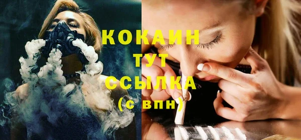 ECSTASY Алзамай