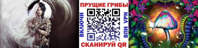 Галлюциногенные грибы GOLDEN TEACHER  Каргат 