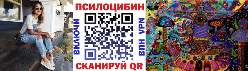 Галлюциногенные грибы Psilocybine cubensis Каргат
